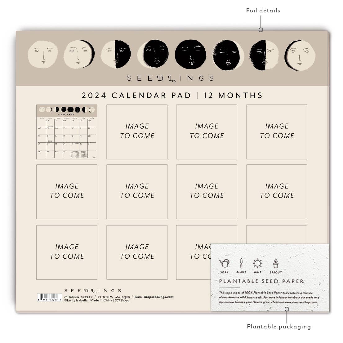 Moon Faces 2024 Calendar Pad - Blank Monthly Calendar - Seedlings