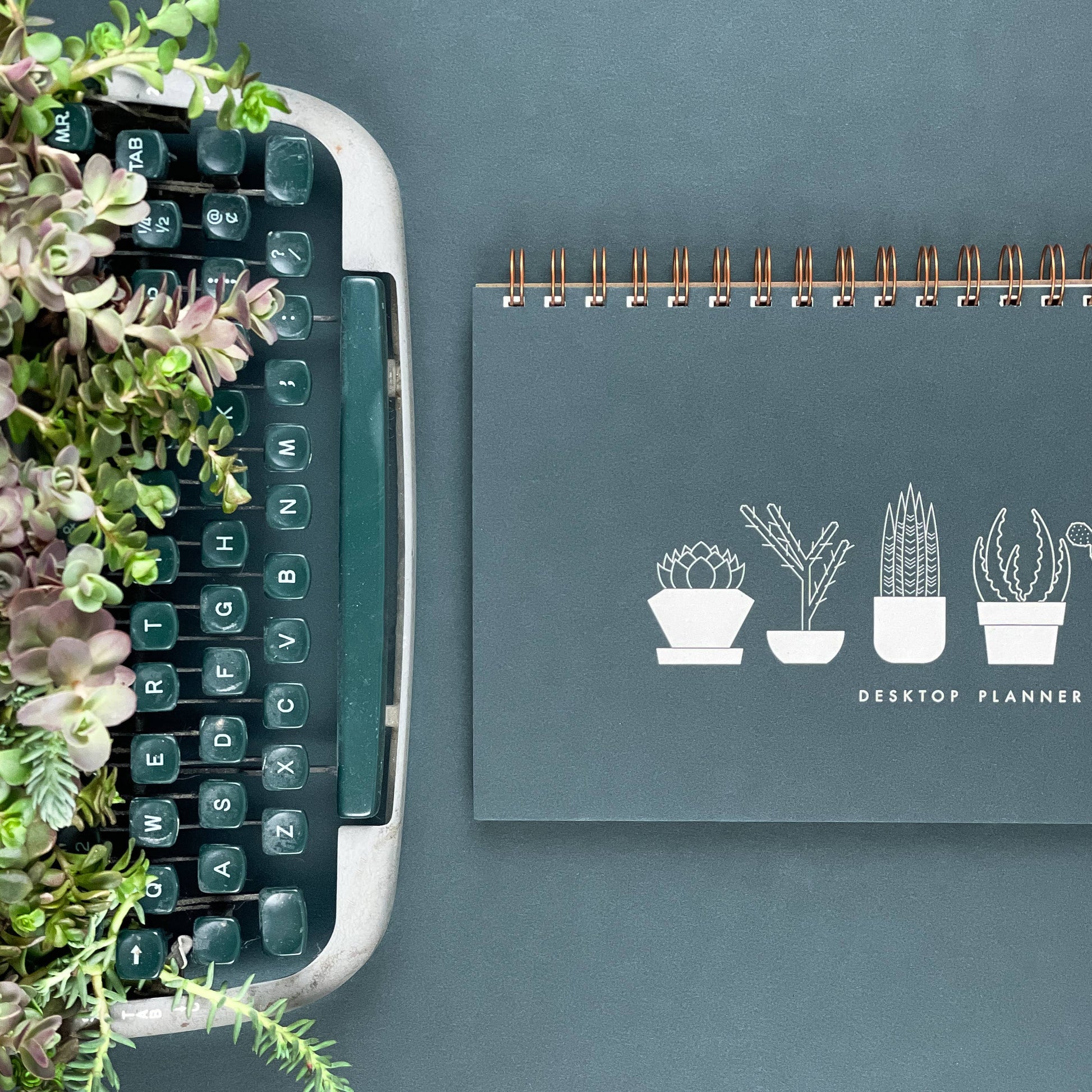 Succulent Undated Weekly Planner Notebook - Weekly Scheduler Notebook Pad - Ruff House Print Shop