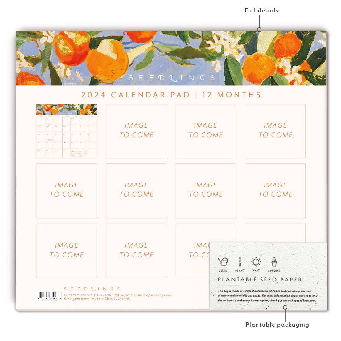 Sunny Oranges 2024 Calendar Pad - Blank Monthly Calendars - Seedlings