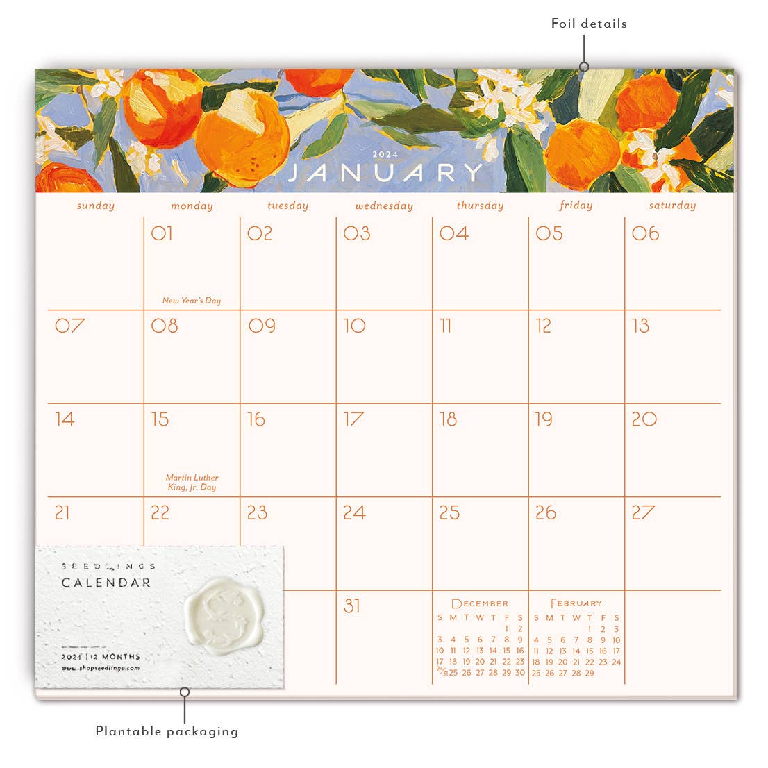 Sunny Oranges 2024 Calendar Pad - Blank Monthly Calendars - Seedlings