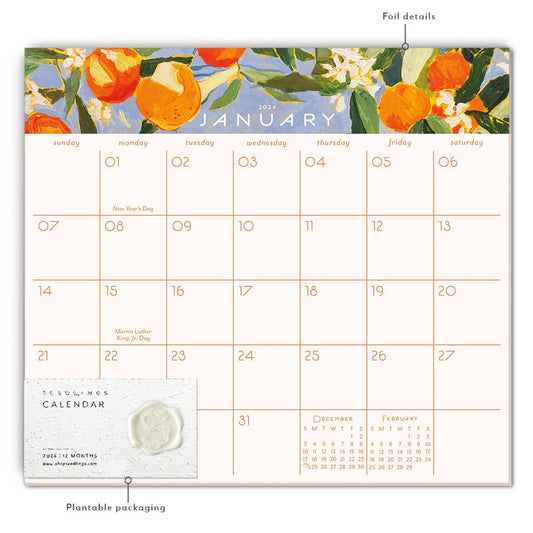 Sunny Oranges 2024 Calendar Pad - Blank Monthly Calendars - Seedlings