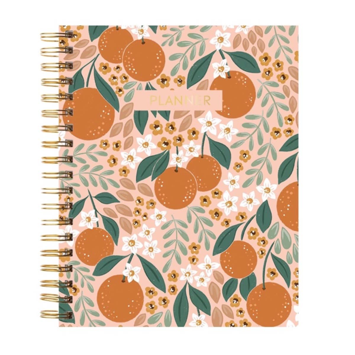 Oranges Undated Annual Planner Book - Monthly Scheduler Calendar - Elyse Breanne Design