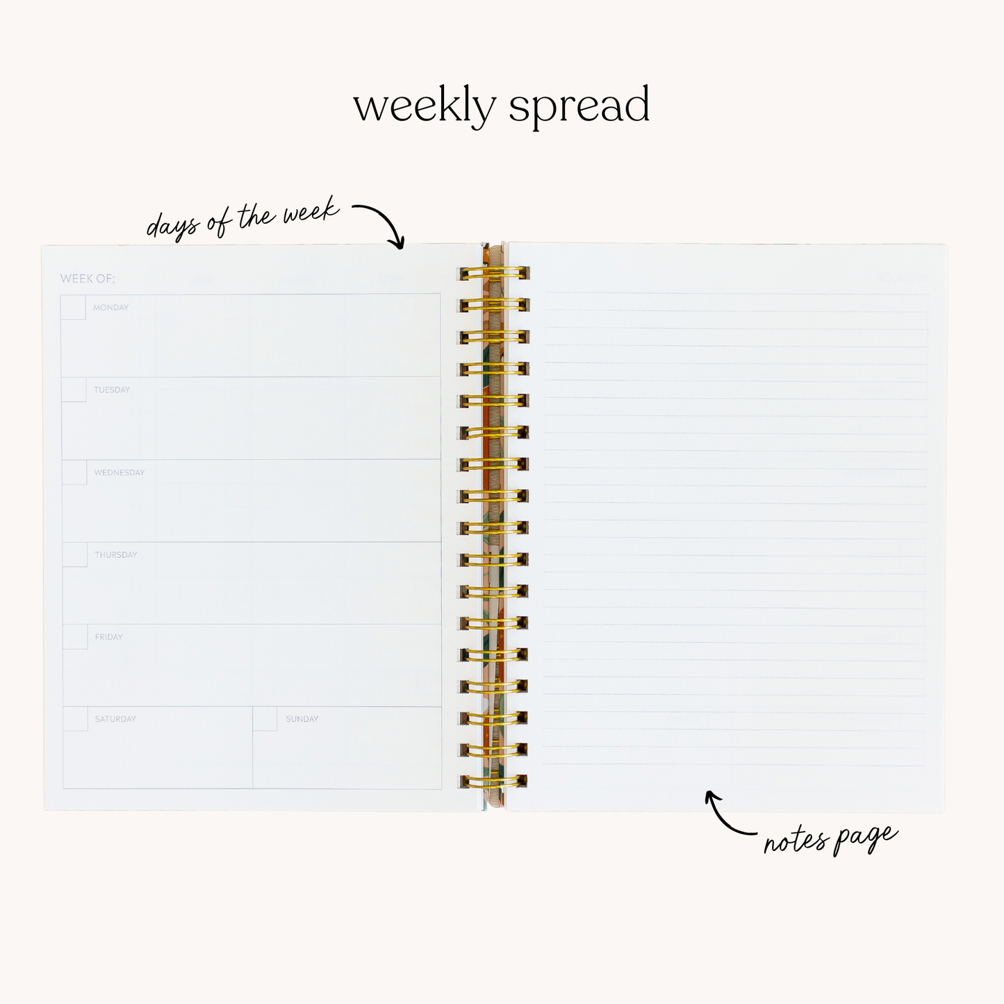 Undated Annual Planner Book - Weekly Scheduler Calendar - Elyse Breanne Design